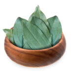 Cinnamon Leaves